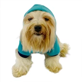 Kemique Team Sweatshirt Köpek Kıyafeti Köpek Elbisesi - 4