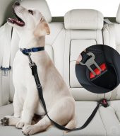 1 Adet Kedi Köpek İçin Araba Emniyet Kemer Tokası - 5