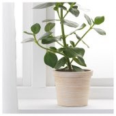 Beyaz Rattan Saksı 12Cm MeridyenDukkan İç çap: 13 cm İç-Dış Mekan Bitki-Çiçek Saksısı - 4
