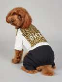 Diesel Leo Leopar Desenli Penye Köpek Tulum | Tüy Dökülmesini Azaltmaya Yardımcı | Küçük Irklar İçin Premium Köpek Kıyafeti thumbnail 6