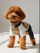 Diesel Leo Leopar Desenli Penye Köpek Tulum | Tüy Dökülmesini Azaltmaya Yardımcı | Küçük Irklar İçin Premium Köpek Kıyafeti thumbnail 1