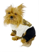 Diesel Leo Köpek Tulumu Köpek Elbisesi - 2