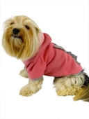 Pinky Rabbit Kapşonlu Sweatshirt Köpek Kıyafeti Köpek Elbisesi - 2