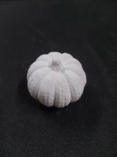 Dekoratif Bal Kabağı Çap 4cm - 1