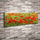 Kırmızı Gelincik Çiçeği - Kır Çiçekleri - Doğa - Manzara - Bitki - Dekoratif Kanvas Tablo 25x90 cm - 1