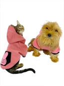 Student Rabbit Sweatshirt Köpek Kıyafeti Köpek Elbisesi - 6