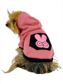 Student Rabbit Sweatshirt Köpek Kıyafeti Köpek Elbisesi - 7