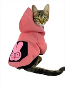Student Rabbit Sweatshirt Kedi Kıyafeti Kedi Elbisesi - 4