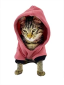 Student Rabbit Sweatshirt Kedi Kıyafeti Kedi Elbisesi - 3