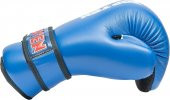 TOP TEN Point Fighter Eldiven (WAKO ONAYLI) - 9