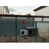 2 ADET FLY JAIL LONG JAR, 1.5 LİTRE KAVANOZ TİPİ KARASİNEK TUZAĞI - 2