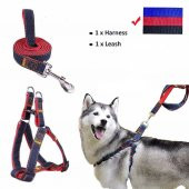 ANS 0907 Kot Desenli Gezdirmeli 1-7Kg Köpek Göğüs Tasması 1 cm - 2