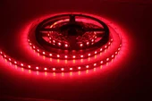 CT-4482 10Ç İÇ MEKAN KIRMIZI LED ŞERİT(5 MT-5Lİ) CATA - 2