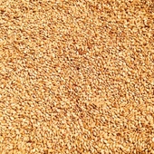 Bozkırım Odun Ateşinde Kavrulmuş Susam 250gr thumbnail 3