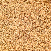 Bozkırım Odun Ateşinde Kavrulmuş Susam 250gr thumbnail 5