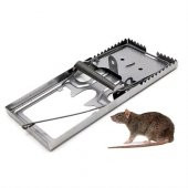 TransForMacion Frau İngiliz Model Metal Fare Kapanı 716745 - 1