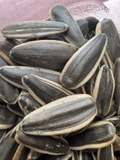 SİYAH ÇEREZLİK AY ÇEKİRDEĞİ ÇİĞ, KAVRULMUŞ VE TUZLU ÇEŞİTLERİNDE - 4