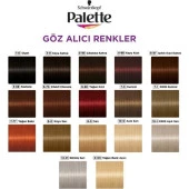 Palette Göz Alıcı Renkler Set Boya 12-21 Gümüş Sarı thumbnail 5