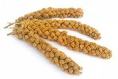 500 Gr.Dal Darı muhabbet Yemi Hint Bülbülü Doğa Yemi.Darı DoğalKuşYemi - 2