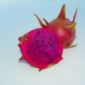 Amerikan Beauty Cinsi Pitaya Ejder Meyvesi Fidanı - 1