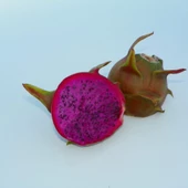 Rixford (Çok Özel Tür) Pitaya Ejder Meyvesi Fidanı - 1