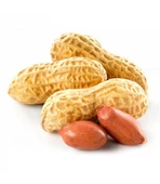 Dilşeker Kabuklu Yer Fıstığı 250 Gram - 1