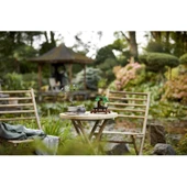 Orjinal Lego Creator Expert Bonsai Ağacı Yetişkinlere Özel Lego Oyuncakları Lego Creator Expert 10281 thumbnail 5