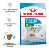 Royal Canin Mini Starter Yavru Köpek Maması 4kg - 2