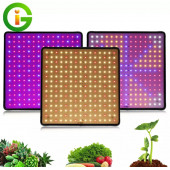 1000W bitki yetiştirme led isik - 2