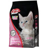 ENERGY TAVUKLU YAVRU KEDİ MAMASI 1 KG - 1