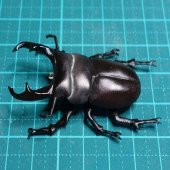 Minik Geyik Böceği (Dorcus Rectus) Plastik Aparat - 1