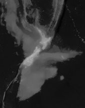 Yeni Zelanda Batimetre Ve Topografya. Plastik Aparat - 2