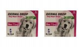 Dr Sed Pharma Derma 11-20 kg Köpek Dış Parazit Damla 2 Kutu - 1