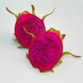 Condor (Özel Tür) Ejder Meyvesi Pitaya Fidanı - 1
