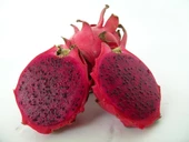 Thai Red (Özel Tür) Ejder Meyvesi Pitaya Fidanı - 1
