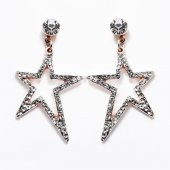 Zirkon Taş Kadın Yıldız Küpe - 1