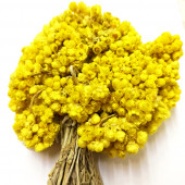 Naturdan Altın Otu 1 Demet - 1