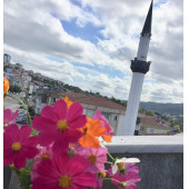 Kosmoz Çiçeği Tohumu - 2