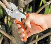 Löwe 2.107 Budama Makası Örs Ağız 21cm Kavisli sap - 5