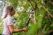 Fiskars L86 Teleskopik Dal Budama Makası 665 - 915mm - 2