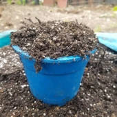 TANEMİX Genel Kullanım İçin Akıllı Torf Karışımı 25 LT - 2