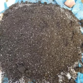 TANEMİX Gübre Katkılı Yüksek Kalite KAKTÜS ve SUKULENT Toprak Karışımı 10 LT - 1
