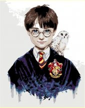 Harry Potter Sayılarla Boyama Seti 50x65 cm (Tuvale Gerili) - 1