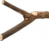 Kuş Ağaç Dalı Y Tünek 35Cm/Ø 18 Mm - 3