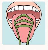 Tepe Dil Temizleme  7317400022178 - 2