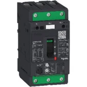 Schneıder,Motor Koruma Şalteri 48-80A (Gv7Re80) Gv4Pe80B - 1