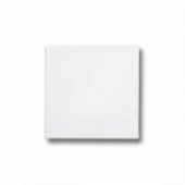 Tuval 20x20cm - 1