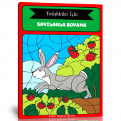 Yetişkinler İçin Sayılarla BOYAMA Kitabı - 1