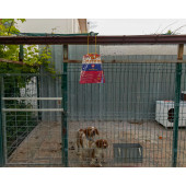 FLY JAIL XL, POŞET KARASİNEK TUZAĞI - 3