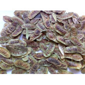 Açlık Otu Tohumu - 2